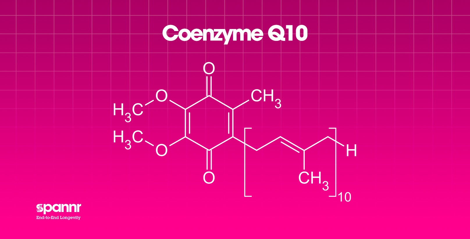 Coenzyme Q10 molecule