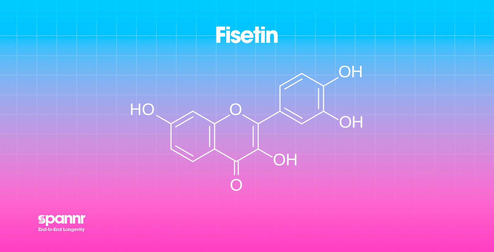 Fisetin longevity supplement